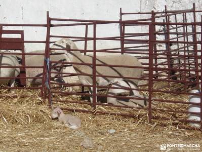 Sierras Subbéticas;Priego de Córdoba;programa de actividades mejor calidad calidad en el senderism